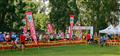Bicycle Sports, Mountain Bike, Off Road, Sport, The Sabie Experience, spar, york timbers