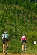 Bicycle Sports, Mountain Bike, Off Road, Sport, The Sabie Experience