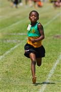 17 February 2012, 2012, 7, 7 yrs, 80m, Athletics, Inter Primary, Laerskool Laeveld, girls, under 7