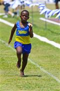 17 February 2012, 2012, 7, 7 yrs, 80m, Athletics, Inter Primary, Laerskool Laeveld, boys, under 7