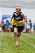 17 February 2012, 2012, 8, 8 yrs, 80m, Athletics, Inter Primary, Laerskool Laeveld, boys, under 8