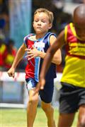 17 February 2012, 2012, 8, 8 yrs, 80m, Athletics, Inter Primary, Laerskool Laeveld, boys, under 8