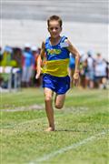 17 February 2012, 2012, 80m, 9, 9 yrs, Athletics, Inter Primary, Laerskool Laeveld, boys, under 9