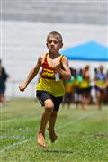 17 February 2012, 2012, 80m, 9, 9 yrs, Athletics, Inter Primary, Laerskool Laeveld, boys, under 9