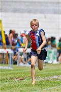 11, 11 yrs, 17 February 2012, 2012, 80m, Athletics, Inter Primary, Laerskool Laeveld, boys, under 11