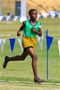 13, 13 yrs, 1500m, 17 February 2012, 2012, Athletics, Inter Primary, Laerskool Laeveld, boys, under 13