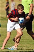 19 May, 19 Mei, 2012, Curro School, Hennie Homann, Penryn Prep, SPORT, Saterdag, Saturday, Sevens rugby festival, Uplands Prep, o/11, rugby, sewes rugbyfees, u/11