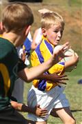 3 May 2012, Bulletjie rugby, Hennie Homann, Laerskool Witrivier, Nellies, SPORT, boys, junior rugby, laerskool nelspruit, seuns, thursday, u/8 rugby, white river primary