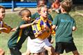 3 May 2012, Bulletjie rugby, Hennie Homann, Laerskool Witrivier, Nellies, SPORT, boys, junior rugby, laerskool nelspruit, seuns, thursday, u/8 rugby, white river primary