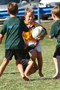 3 May 2012, Bulletjie rugby, Hennie Homann, Laerskool Witrivier, Nellies, SPORT, boys, junior rugby, laerskool nelspruit, seuns, thursday, u/8 rugby, white river primary