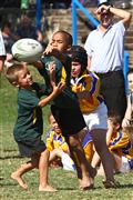 3 May 2012, Bulletjie rugby, Hennie Homann, Laerskool Witrivier, Nellies, SPORT, boys, junior rugby, laerskool nelspruit, seuns, thursday, u/8 rugby, white river primary