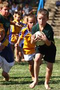 3 May 2012, Bulletjie rugby, Hennie Homann, Laerskool Witrivier, Nellies, SPORT, boys, junior rugby, laerskool nelspruit, seuns, thursday, u/8 rugby, white river primary