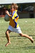 3 May 2012, Bulletjie rugby, Hennie Homann, Laerskool Witrivier, Nellies, SPORT, boys, junior rugby, laerskool nelspruit, seuns, thursday, u/8 rugby, white river primary