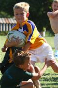 3 May 2012, Bulletjie rugby, Hennie Homann, Laerskool Witrivier, Nellies, SPORT, boys, junior rugby, laerskool nelspruit, seuns, thursday, u/8 rugby, white river primary