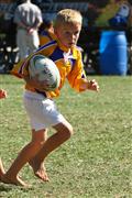3 May 2012, Bulletjie rugby, Hennie Homann, Laerskool Witrivier, Nellies, SPORT, boys, junior rugby, laerskool nelspruit, seuns, thursday, u/8 rugby, white river primary