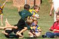 3 May 2012, Bulletjie rugby, Hennie Homann, Laerskool Witrivier, Nellies, SPORT, boys, junior rugby, laerskool nelspruit, seuns, thursday, u/8 rugby, white river primary