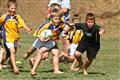 3 May 2012, Bulletjie rugby, Hennie Homann, Laerskool Witrivier, Nellies, SPORT, boys, junior rugby, laerskool nelspruit, seuns, thursday, u/8 rugby, white river primary