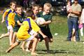 3 May 2012, Bulletjie rugby, Hennie Homann, Laerskool Witrivier, Nellies, SPORT, boys, junior rugby, laerskool nelspruit, seuns, thursday, u/8 rugby, white river primary