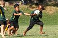 3 May 2012, Bulletjie rugby, Hennie Homann, Laerskool Witrivier, Nellies, SPORT, boys, junior rugby, laerskool nelspruit, seuns, thursday, u/8 rugby, white river primary
