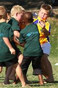 3 May 2012, Bulletjie rugby, Hennie Homann, Laerskool Witrivier, Nellies, SPORT, boys, junior rugby, laerskool nelspruit, seuns, thursday, u/8 rugby, white river primary