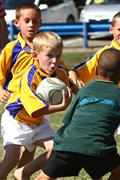 3 May 2012, Bulletjie rugby, Hennie Homann, Laerskool Witrivier, Nellies, SPORT, boys, junior rugby, laerskool nelspruit, seuns, thursday, u/8 rugby, white river primary