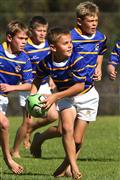 2012, 5 June, 5 Junie, Age, Dinsdag, Hennie Homann, Laerskool Goedehoop, Mpumalanga laerskole kwarteindstryd rugby, Mpumalanga regional primary school quarter finals rugby, SPORT, Tuesday, U/10, White River, laerskool nelspruit, o/10