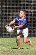 2012, 5 June, 5 Junie, Age, Dinsdag, Hennie Homann, Laerskool Goedehoop, Mpumalanga laerskole kwarteindstryd rugby, Mpumalanga regional primary school quarter finals rugby, SPORT, Tuesday, U/10, White River, laerskool nelspruit, o/10