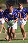 2012, 5 June, 5 Junie, Age, Dinsdag, Hennie Homann, Laerskool Goedehoop, Mpumalanga laerskole kwarteindstryd rugby, Mpumalanga regional primary school quarter finals rugby, SPORT, Tuesday, U/10, White River, laerskool nelspruit, o/10