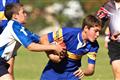 2012, Dinsdag, Hennie Homann, Laerskool Komatipoort, Laerskool Numbi, Laerskool Witrivier, Mpumalanga semi-finale, Mpumalanga semi-finals, SPORT, Tuesday, White River Primary, eerste rugbyspan, first rugby team, kleinerskole, smaler schools