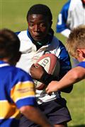 2012, Dinsdag, Hennie Homann, Laerskool Komatipoort, Laerskool Numbi, Laerskool Witrivier, Mpumalanga semi-finale, Mpumalanga semi-finals, SPORT, Tuesday, White River Primary, eerste rugbyspan, first rugby team, kleinerskole, smaler schools