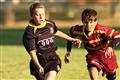 2012, Dinsdag, Hennie Homann, Laerskol Lydenburg, Laerskool Nelspruit, Laerskool Witrivier, Mpumalanga semi-finale, Mpumalanga semi-finals, SPORT, Tuesday, White River Primary, eerstespan, first rugby team