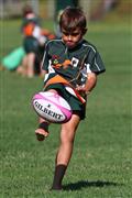 30-31 Maart 2012, 30-31 March 2012, Hennie Homann, Laerskool Bergland, Laerskool Jan van Riebeeck, Laerskool Witrivier, SPORT, boys, o/9 A, o/9 rugby span A, rugby, rugby clinic, rugbykliniek, seuns, u/9 A, u/9 A rugby team