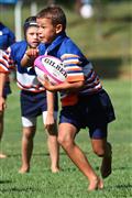 30-31 Maart 2012, 30-31 March 2012, Hennie Homann, Laerskool Goedehoop, Laerskool Nelspruit, Laerskool Witrivier, SPORT, boys, o/10 A, o/10 A rugby span, rugby, rugby clinic, rugbykliniek, seuns, u/10 A, u/10 A rugby team