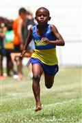 17 Februarie, 17 Februarie 2012, 2012, 80m, 9 jaar, 9 year, February 17 2012, February 17 Februarie, Interprimary, Laerskool Laeveld, Laerskool Laeveld Interprimary, Laerskool Laeveld interlaer, boys 9 year, boys 9 year 80m, laerskool, primary school, seuns 9 jaar, seuns 9 jaar 80m