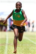 100m, 11 jaar, 11 year, 17 Februarie, 17 Februarie 2012, 2012, February 17 2012, February 17 Februarie, Interprimary, Laerskool Laeveld, Laerskool Laeveld Interprimary, Laerskool Laeveld interlaer, boys 11 year, boys 11 year 100m, laerskool, primary school, seuns 11 jaar, seuns 11 jaar 100m