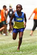 17 Februarie, 17 Februarie 2012, 2012, 80m, 9 jaar, 9 year, February 17 2012, February 17 Februarie, Interprimary, Laerskool Laeveld, Laerskool Laeveld Interprimary, Laerskool Laeveld interlaer, boys 9 year, boys 9 year 80m, laerskool, primary school, seuns 9 jaar, seuns 9 jaar 80m