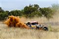 Archie Rutherford, Human Auto 400, Mike Lawrenson, P6, dirt, off road racing, rally