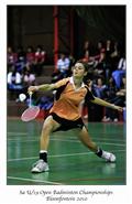 Elme de Villiers, ladies finals