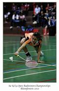 Elme de Villiers, ladies finals