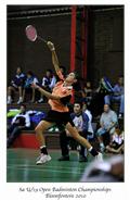 Elme de Villiers, ladies finals
