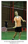ladies singles semi- finals
