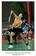 ladies singles semi- finals