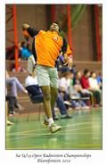 Plate finals, mens