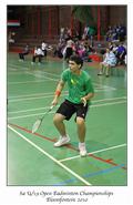 Plate finals, mens