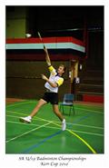 Boland, Kerr cup, SA U19 Badminton, mens*men